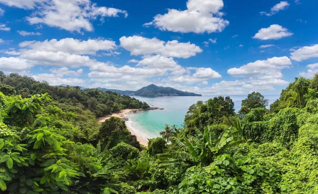 标题: 探索芭东海滩:您的终极旅行指南