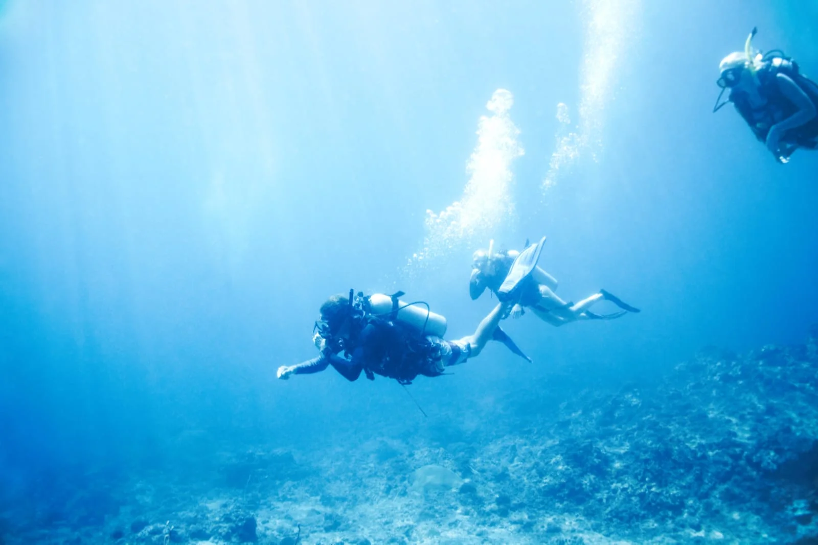 The Underwater Wonders of Phuket: A Diver's Paradise - All Phuket ...